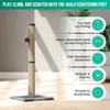 Avalo Arbre à chat pour chats avec balle de jeu - 36x36x74 Voir les images du produit 2