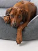 TrendPet VitaBed Classic orthopädisches Hundebett grau Produktbild-Vorschau 5