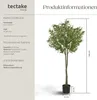 tectake® Künstlicher Olivenbaum Oleand verschiedene Größen Produktbild-Vorschau 5
