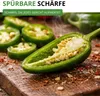 Chili Early Jalapeno Samen - Capsicum annuum - Chilisamen - Produktbild-Vorschau 5