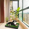 Hundeklo Hundetoilette mit Gras – Hunde Toilette Welpenklo Produktbild-Vorschau 5