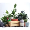 1x Blumentopf mit Drainagesystem Rund Ø 21 cm Moosgrün Produktbild-Vorschau 3