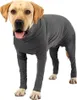 INF Combinaison pour chien XXXL Voir les images du produit 4