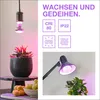 Rostlinná lampa OSRAM LED Star se žárovkou a paticí E27 o Náhled obrázku produktu 6