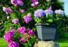 Plastia Pflanzenkübel Bergamot, Blumentopf mit Produktbild-Vorschau 7