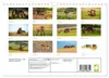 Exmoor Ponnys - Die letzten Ihrer Art (Wandkalender 2027 Produktbild-Vorschau 2