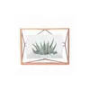 Umbra 313016-880, Einzelbilderrahmen, Roségold, Tisch, 10 x Produktbild-Vorschau 3