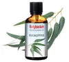 Olio per sauna HolzHacker Eucalipto 60 ml Anteprima dell’immagine prodotto 1