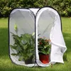 Gartengewächshaus Pop Up Gewächshaus kleines Produktbild-Vorschau 3