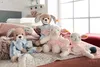 Steiff Schmusetuch Hund 30 cm blau-beige 239694 Produktbild-Vorschau 2