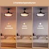 Heilmetz Deckenventilator mit Beleuchtung Ø 108 cm, Produktbild-Vorschau 2