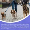 Reichstadt  RS Pets Hundeleine Nylon 25RSP084 Brown 1,5m Produktbild-Vorschau 6