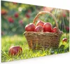 Küchenrückwand Spritzschutz Glas mit Motiv Korb mit roten Produktbild-Vorschau 1