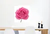 MuchoWow® Poster Nahaufnahme einer einzelnen rosa Rose auf Produktbild-Vorschau 2
