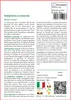 SAFLAX  - Hollyhocks si mescola - 100 semi - Con substrato Anteprima dell’immagine prodotto 3