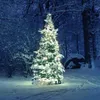 Ambiance osvetlenie stožiara so 192 LED diódami 208 cm Náhľad obrázku produktu 5