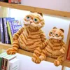 Fat Cat Cartoon Garfield en peluche, peluche douce, beau Voir les images du produit 2