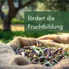 Meine Orangerie Olivenbaum Erde 10 L - Spezial Erde für Produktbild-Vorschau 6