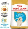 ROYAL CANIN Golden Retriever Junior - Welpe - Golden Produktbild-Vorschau 5