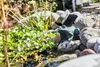 Heissner SOLAR Teichfigur "Frosch" mit Wasserspielpumpe Produktbild-Vorschau 5
