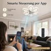Ventilateur de Plafond 65cm avec Éclairage et Télécommande Voir les images du produit 7