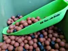 Tandem Baits 5-er Set Euro Boilies Knoblauch, Karpfen Produktbild-Vorschau 3