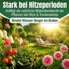 DÜNGEMEISTER Premium Gartendünger gegen mickrige Ernte & Produktbild-Vorschau 9