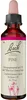 Bach-Blüte Pine, 20 ml Lösung Produktbild-Vorschau 1