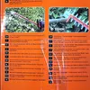 Black & Decker BCHTS3625L1, 55 cm, Doppelte Klinge, Produktbild-Vorschau 8