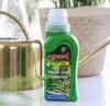 Hnojivo pro palmu juku a dracénu 250ml gelový kondicionér Náhled obrázku produktu 3