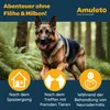 Amuleto Clean & Care Bath - Parasiten-Shampoo für Hunde & Produktbild-Vorschau 6