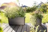 Berberis UNO 45 cm - terre cuite Voir les images du produit 8
