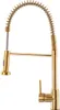 A gold kitchen faucet with a coiled hose. Náhled obrázku produktu