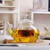 Wilmax Teekanne 700 ml Glas mit Glasdeckel Transparent Produktbild-Vorschau 1