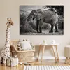 MuchoWow® Poster Elefant - Tiere - Bäume - Schwarz - Weiß Produktbild-Vorschau 7