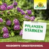 Neudorff UrgesteinsMehl - 20 kg für 200 m² erhöht Produktbild-Vorschau 5