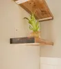 Two wooden shelves are mounted on a light-colored wall. A small potted plant sits on the lower shelf. Produktbild-Vorschau