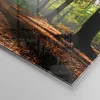 Bilder auf glas - Wald Blätter Sonne - 70x70cm - Glasbilder Produktbild-Vorschau 5