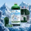 Ice Bär sirop Slush goût aspérule odorante 1 l 1:5 sans AZO Voir les images du produit 10