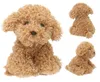Depesche Vertrieb GmbH & Co. K TOPModel cane di peluche Anteprima dell’immagine prodotto 1