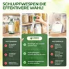 Brackwespen gegen Lebensmittelmotten - 1 Röhrchen - Produktbild-Vorschau 5