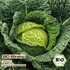 Samenliebe  Wirsing Samen | Vertus 2 - winterhart & groß - Produktbild-Vorschau 4