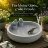 XL Vogeltränke mit Deko-Vögeln Ø34 cm – Vogelbad & Produktbild-Vorschau 6
