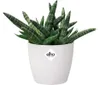 elho brussels Rund Mini 10,5cm Übertopf - weiss Produktbild-Vorschau 5