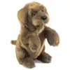 Folkmanis Sitting, Handpuppe, Tier, 1 Stück(e) Produktbild-Vorschau 1