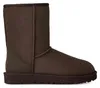 Ugg W Classic Short Ii Hnědý Náhled obrázku produktu 6
