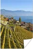 MuchoWow® Poster Foto von einem Weinberg über dem Genfer Produktbild-Vorschau 1