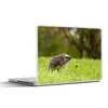 MuchoWow® Laptop Aufkleber Sticker Cover Igel im Gras Produktbild-Vorschau 1