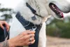 Ruffwear Front Range™ Hundegeschirr Produktbild-Vorschau 7