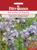 Artikelbild 1 von 'Phacelia 400 g für 100m²' aus der Kategorie Phaceliasamen Produktbild-Vorschau